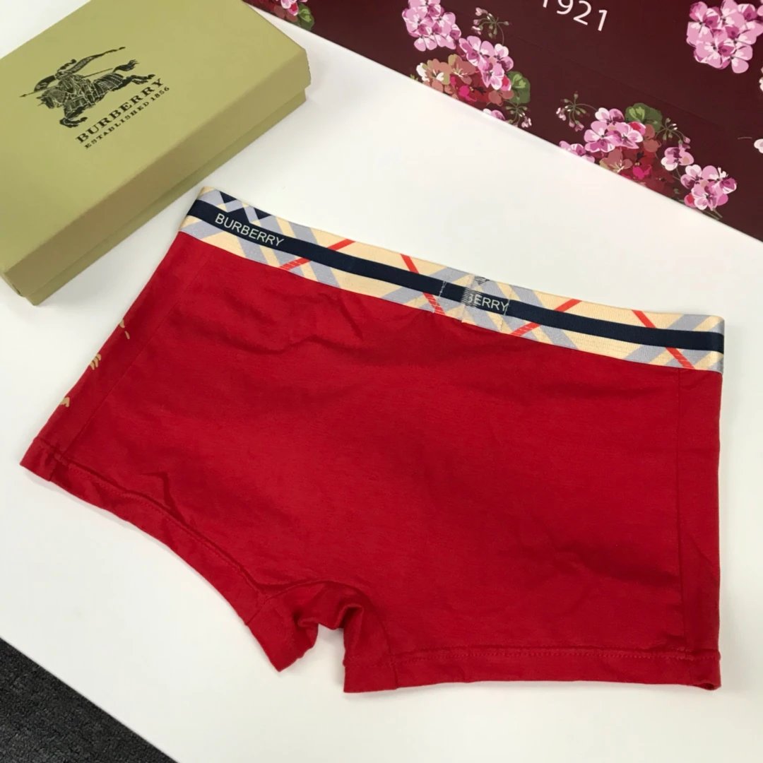 Mens boxers Burberry