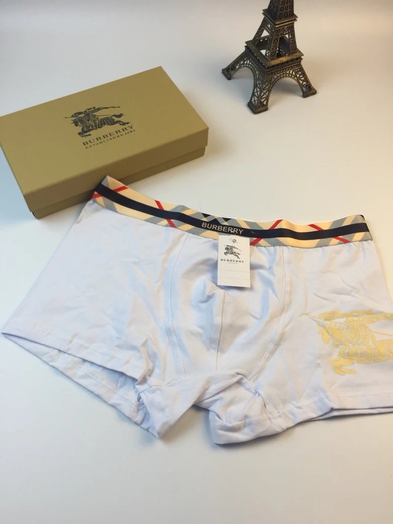 Mens boxers Burberry