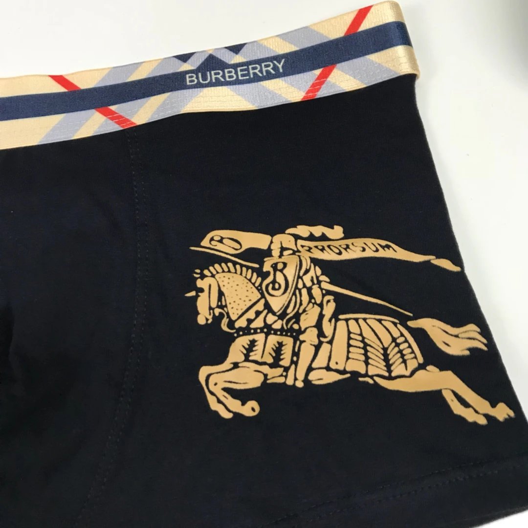 Mens boxers Burberry