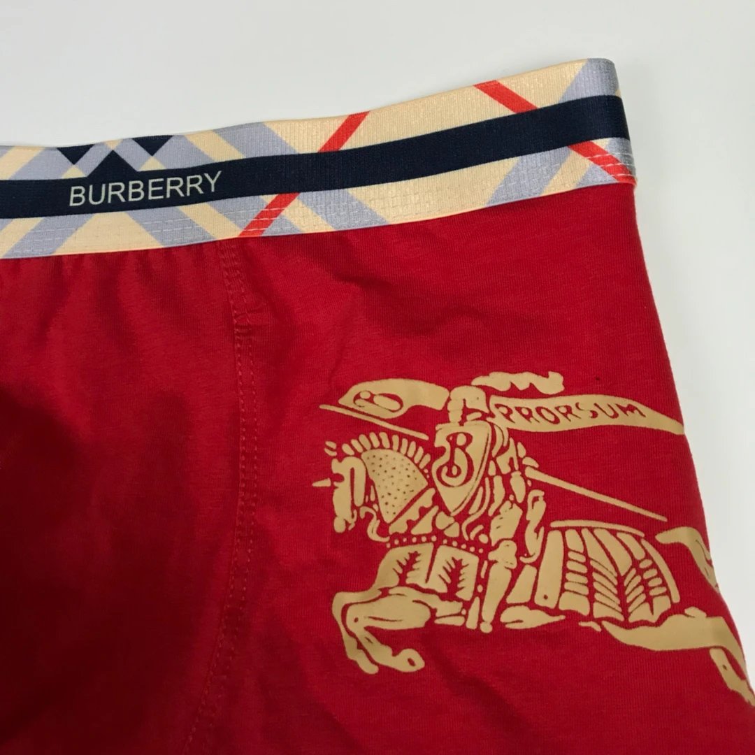 Mens boxers Burberry