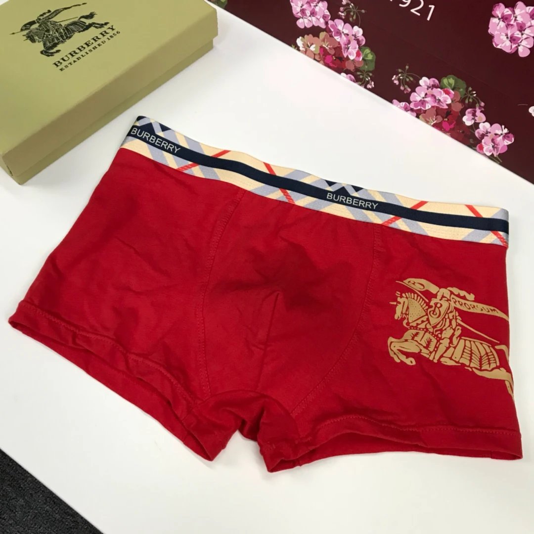 Mens boxers Burberry